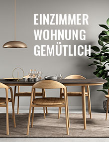 Einzimmerwohnung-Einrichten