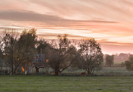 Ferienhaus-Baumhaus-Elbinsel-Krautsand-Natur