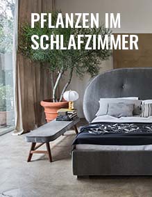 Einrichtungsberater-Schlafzimmer-Pflanzen
