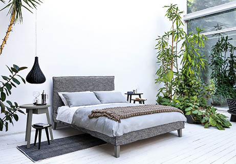Schlafzimmer-Pflanzen-Raumklima Schlafzimmer-Pflanzen-Raumklima