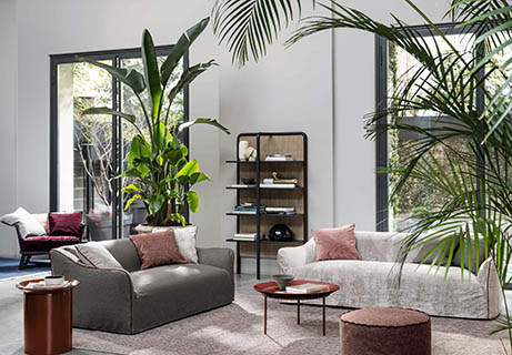Großes-Wohnzimmer-Ideen-Pflanze